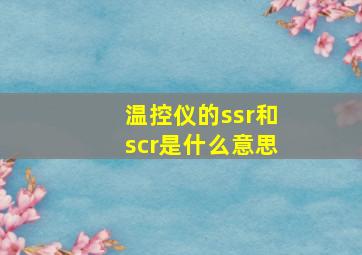 温控仪的ssr和scr是什么意思