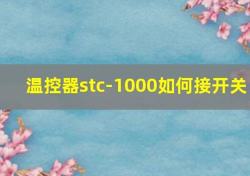 温控器stc-1000如何接开关