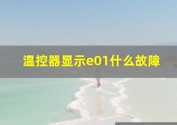 温控器显示e01什么故障