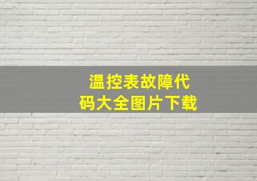 温控表故障代码大全图片下载