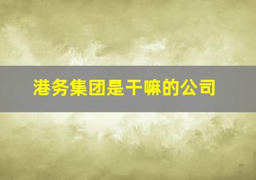 港务集团是干嘛的公司