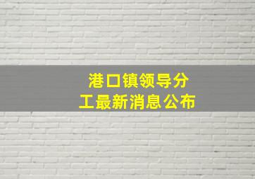 港口镇领导分工最新消息公布