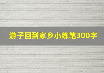 游子回到家乡小练笔300字