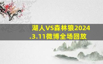 湖人VS森林狼2024.3.11微博全场回放