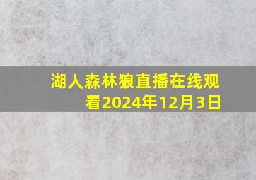 湖人森林狼直播在线观看2024年12月3日