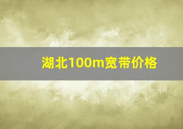 湖北100m宽带价格