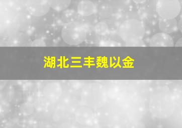 湖北三丰魏以金