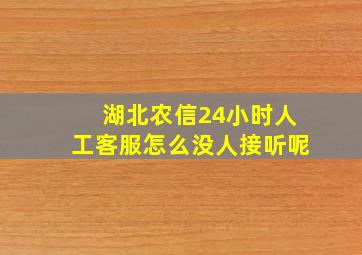 湖北农信24小时人工客服怎么没人接听呢