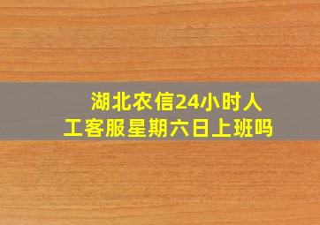 湖北农信24小时人工客服星期六日上班吗