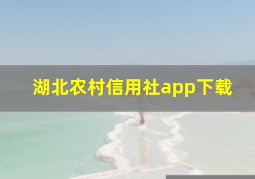 湖北农村信用社app下载