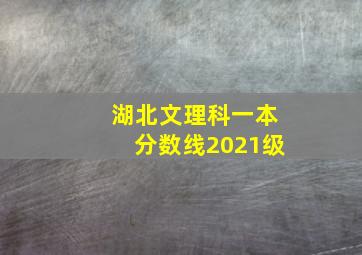 湖北文理科一本分数线2021级