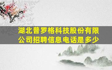 湖北普罗格科技股份有限公司招聘信息电话是多少