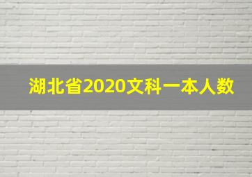 湖北省2020文科一本人数