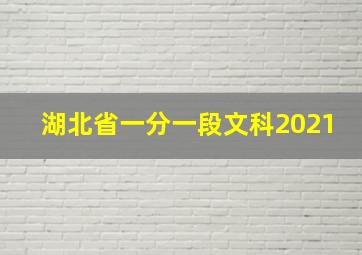 湖北省一分一段文科2021