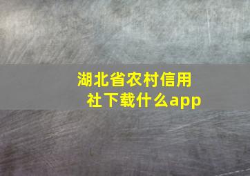 湖北省农村信用社下载什么app