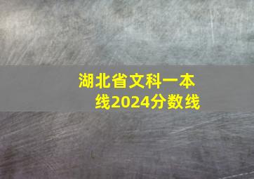 湖北省文科一本线2024分数线