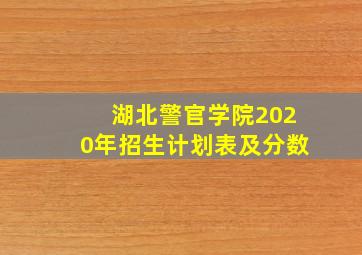 湖北警官学院2020年招生计划表及分数