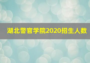 湖北警官学院2020招生人数