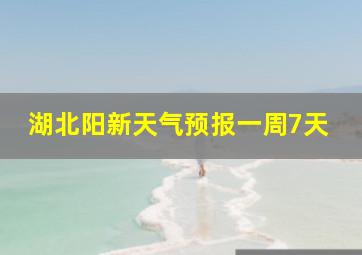 湖北阳新天气预报一周7天