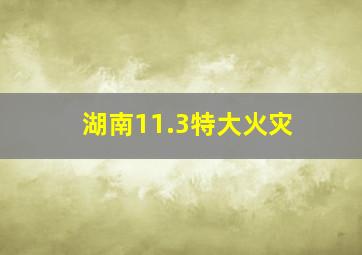 湖南11.3特大火灾