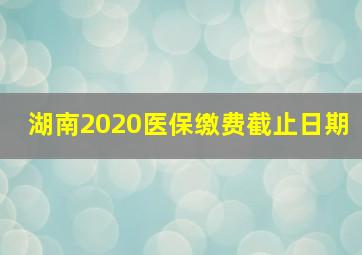 湖南2020医保缴费截止日期