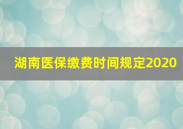 湖南医保缴费时间规定2020