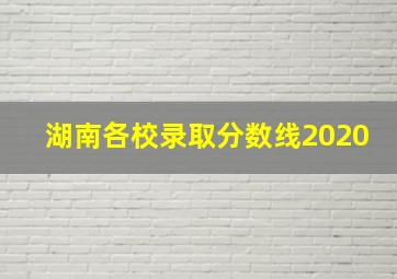 湖南各校录取分数线2020