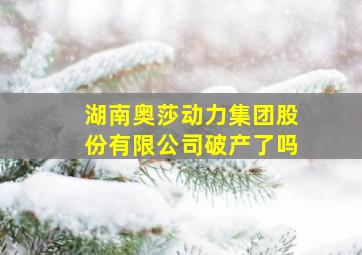 湖南奥莎动力集团股份有限公司破产了吗