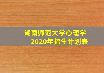 湖南师范大学心理学2020年招生计划表