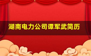 湖南电力公司谭军武简历