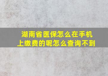 湖南省医保怎么在手机上缴费的呢怎么查询不到