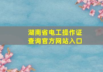 湖南省电工操作证查询官方网站入口