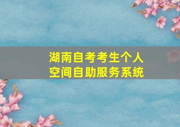 湖南自考考生个人空间自助服务系统