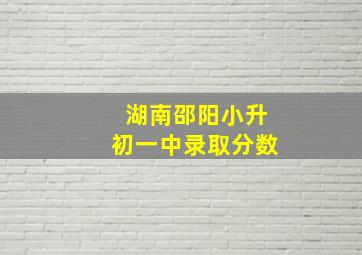 湖南邵阳小升初一中录取分数