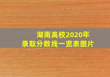 湖南高校2020年录取分数线一览表图片