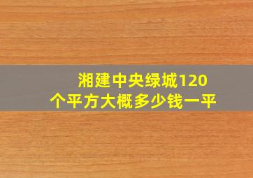 湘建中央绿城120个平方大概多少钱一平