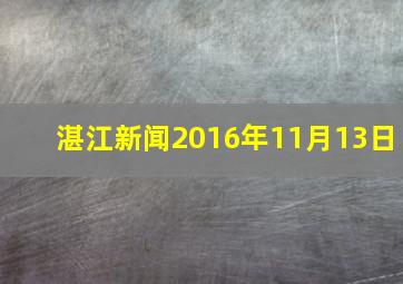 湛江新闻2016年11月13日