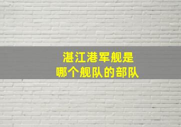 湛江港军舰是哪个舰队的部队