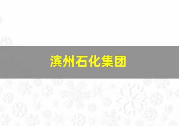 滨州石化集团