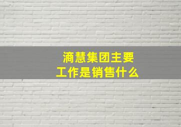 滳慧集团主要工作是销售什么