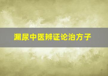 漏尿中医辨证论治方子