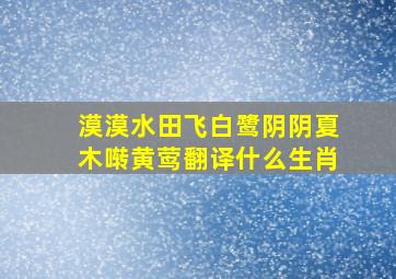 漠漠水田飞白鹭阴阴夏木啭黄莺翻译什么生肖