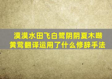 漠漠水田飞白鹭阴阴夏木啭黄莺翻译运用了什么修辞手法