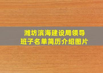 潍坊滨海建设局领导班子名单简历介绍图片