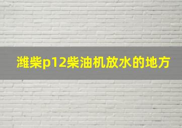 潍柴p12柴油机放水的地方