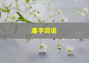 潘字词语