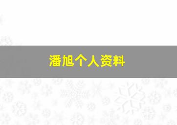 潘旭个人资料