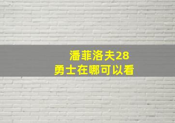 潘菲洛夫28勇士在哪可以看