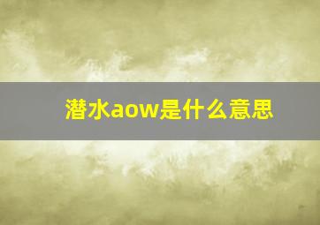 潜水aow是什么意思