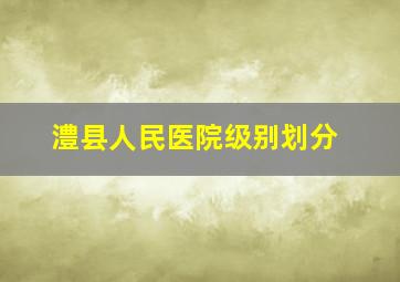 澧县人民医院级别划分